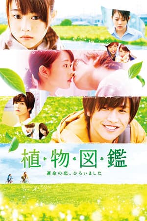 Poster phim Tình Yêu Mãi Xanh