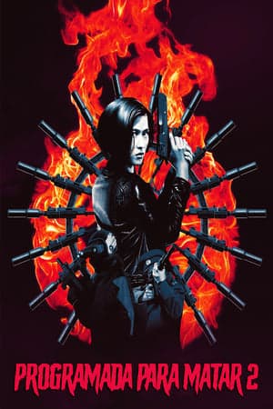 Poster phim Hắc Miêu 2