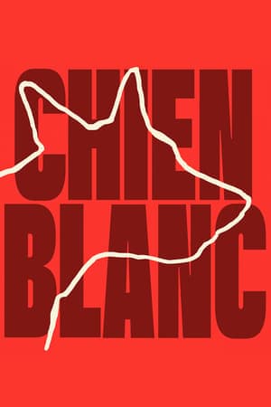 Poster phim Chú Chó Trắng