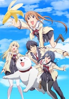 Poster phim Aho Girl