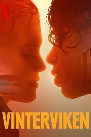 Poster phim Vinterviken