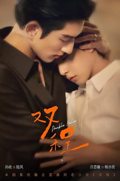 Poster phim Song Trình