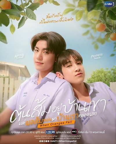 Poster phim Cây Cam Ở Nhà Cậu Ấy Nhưng Quả Cam Luôn Rơi Sang Nhà Tôi
