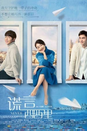 Poster phim Không Bao Giờ Nói Lời Từ Biệt