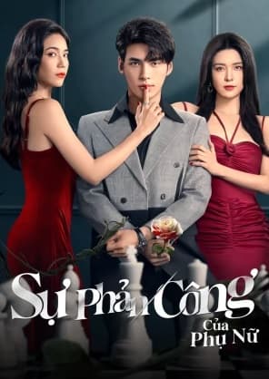 Poster phim Sự Phản Công Của Phụ Nữ