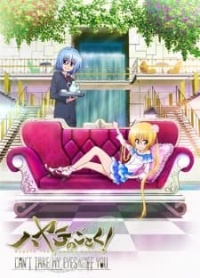 Poster phim Hayate No Gotoku! Can't Take My Eyes Off You