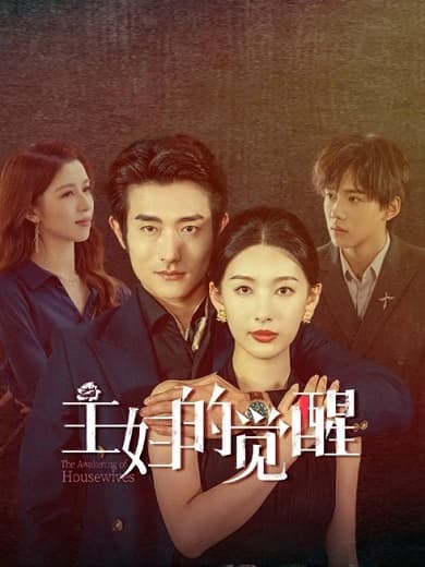 Poster phim Sự Giác Ngộ Của Bà Nội Trợ
