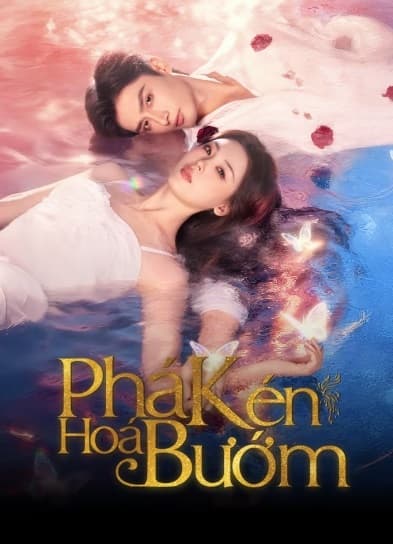 Poster phim Phá Kén Hoá Bướm