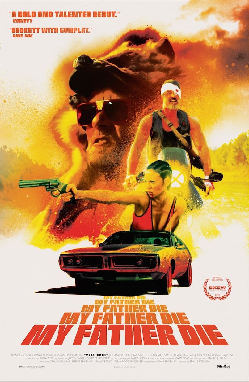 Poster phim Vòng Xoáy Hận Thù