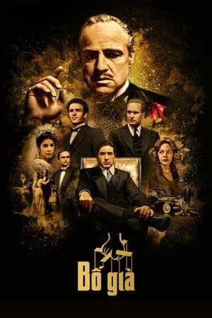 Poster phim Bố Già 1