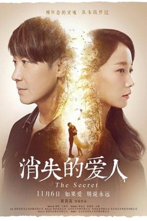 Poster phim Người Vợ Mất Tích