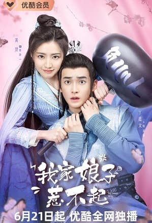 Poster phim Nương Tử Nhà Ta Không Dễ Chọc