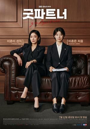 Poster phim Cộng Sự Hoàn Hảo