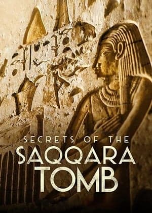 Poster phim Bí Mật Các Lăng Mộ Saqqara