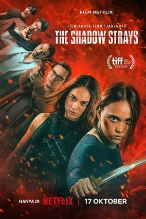 Poster phim Sát Thủ Mật Danh 13