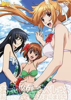 Poster phim Asobi Ni Iku Yo!: Asobi Ni Oide - Owari