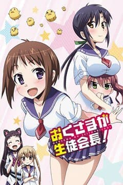 Poster phim Okusama Ga Seitokaichou!