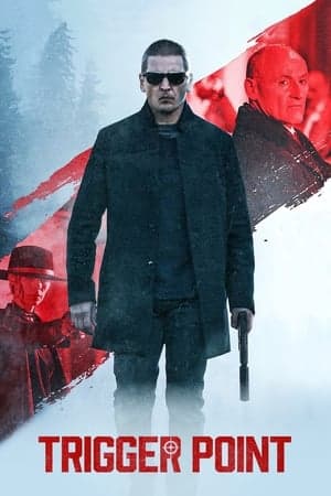 Poster phim Điểm Kích Hoạt