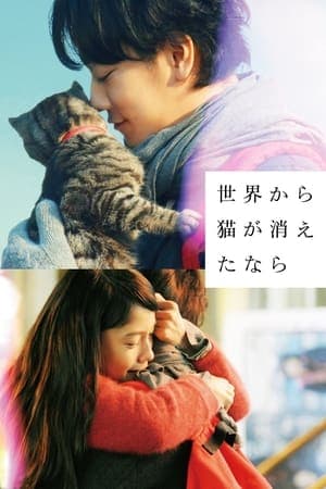 Poster phim Nếu Loài Mèo Biến Mất Khỏi Thế Giới