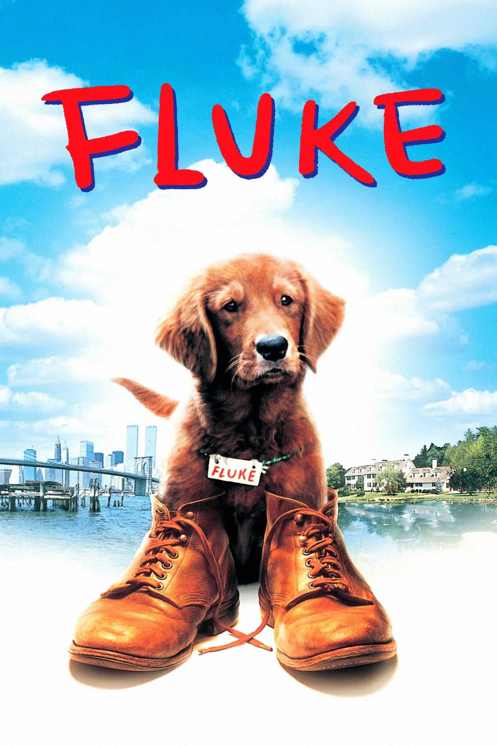 Poster phim Chú Chó Fluke