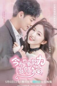 Poster phim Bạn Gái Tôi Là Một Con Mèo