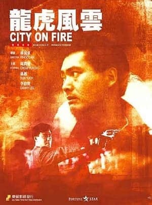 Poster phim Long Hổ Phong Vân