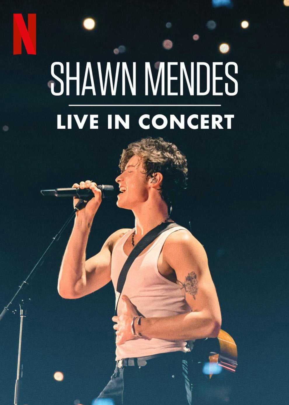 Poster phim Shawn Mendes: Trực Tiếp Tại Buổi Hòa Nhạc