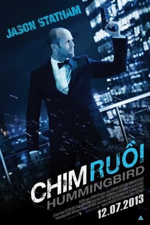 Poster phim Chim Ruồi