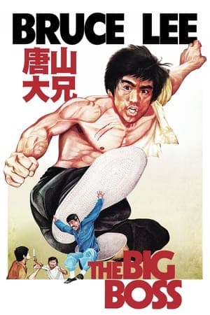 Poster phim Đường Sơn Đại Huynh