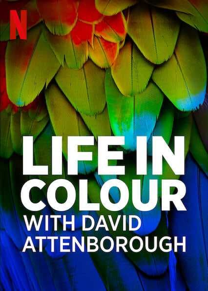 Poster phim David Attenborough: Sự Sống Đầy Màu Sắc