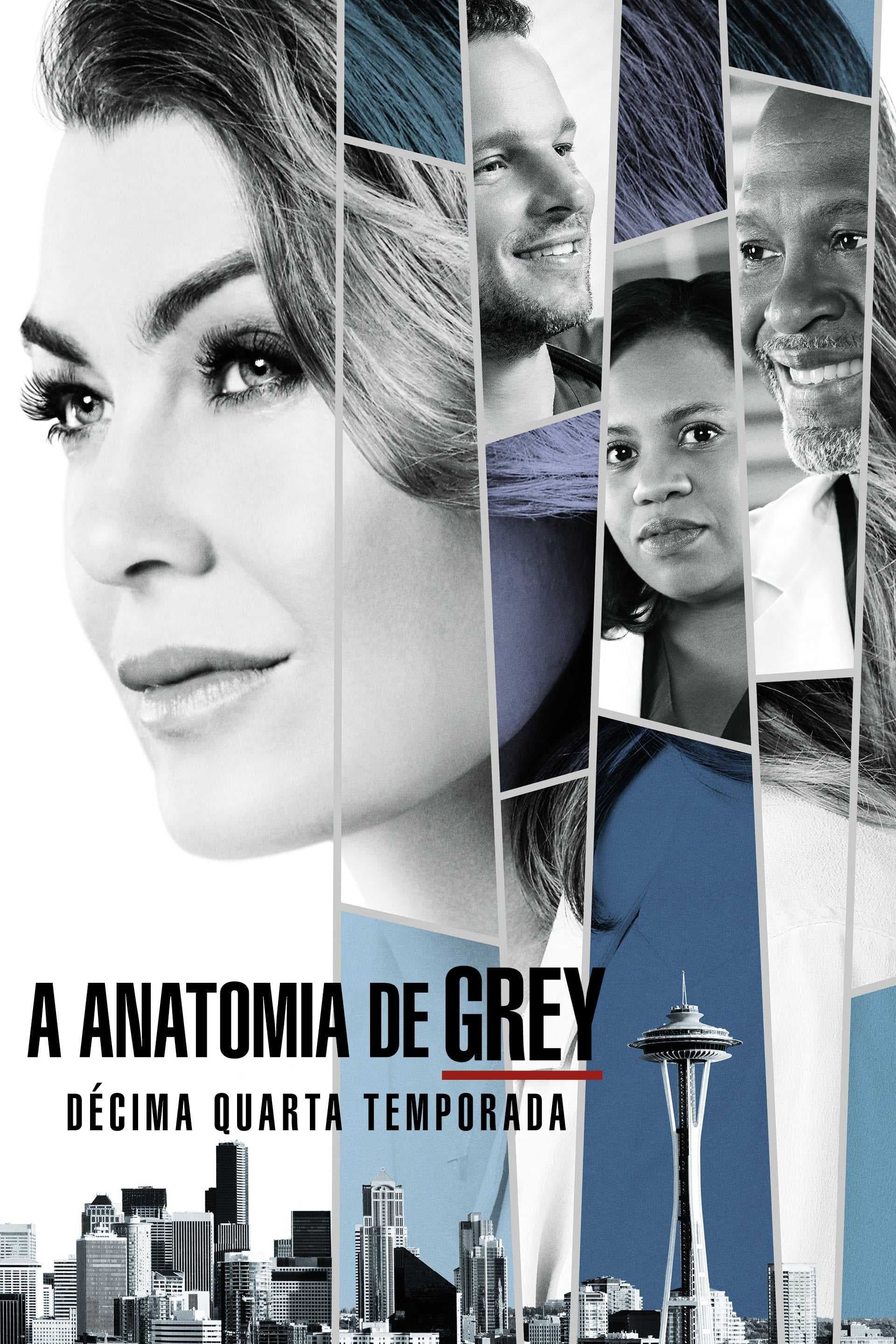 Poster phim Ca Phẫu Thuật Của Grey (Phần 14)