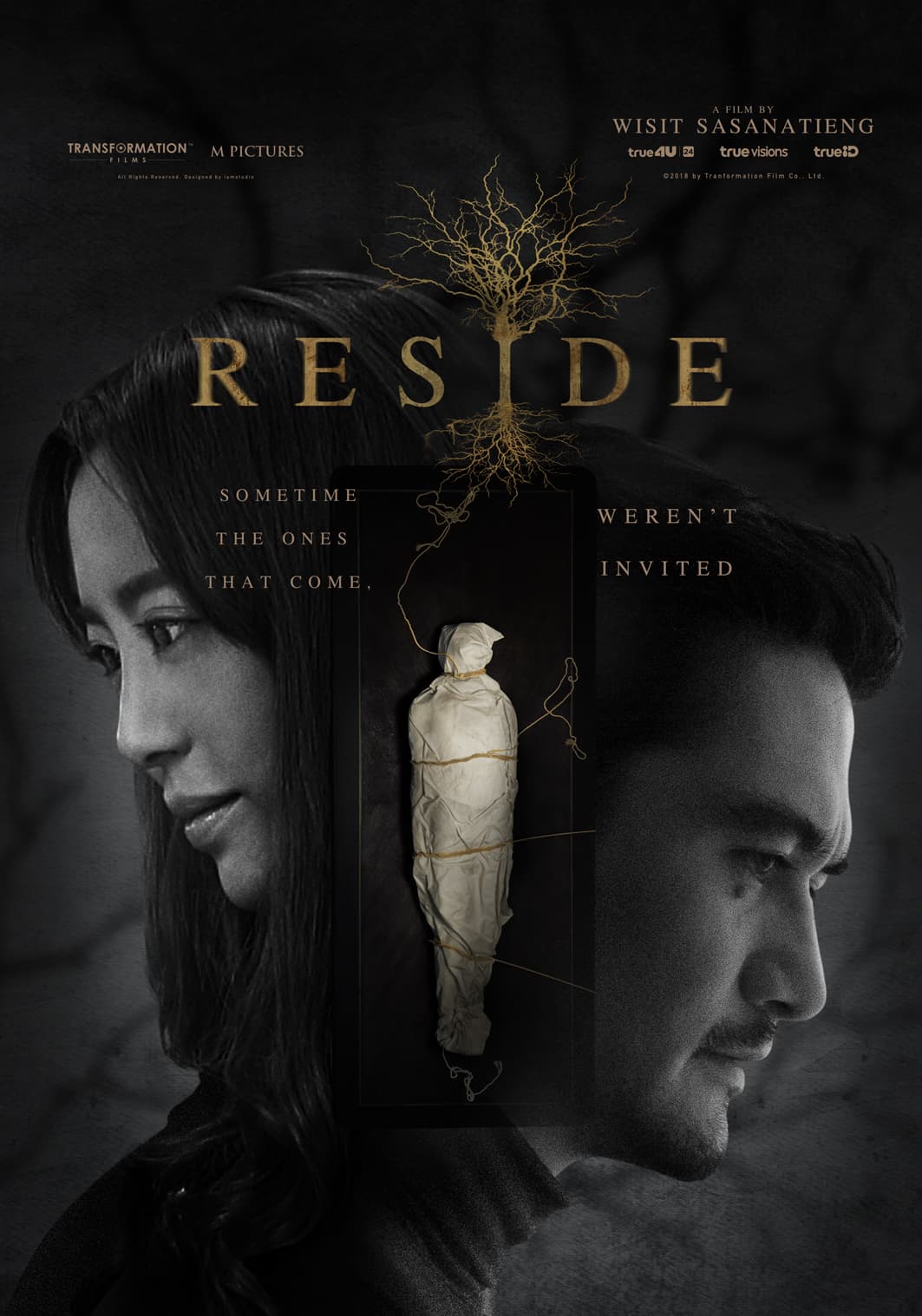 Poster phim Linh Hồn Trú Ngụ