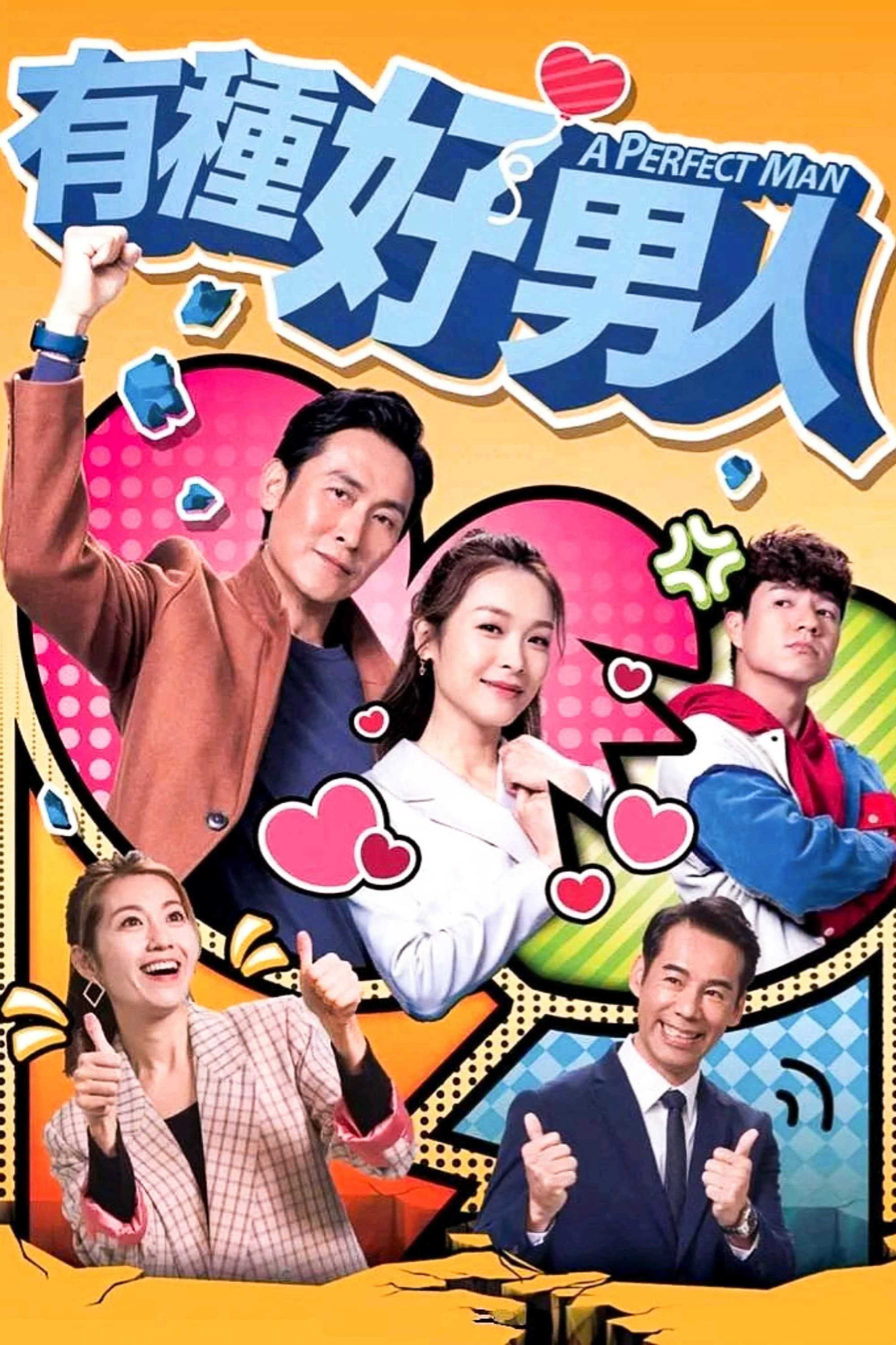 Poster phim Người Đàn Ông Hoàn Hảo (Phần 1)
