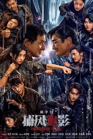Poster phim Bổ Phong Truy Ảnh