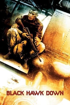 Poster phim Diều Hâu Gãy Cánh