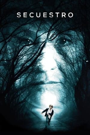Poster phim Cậu Bé Mất Tích