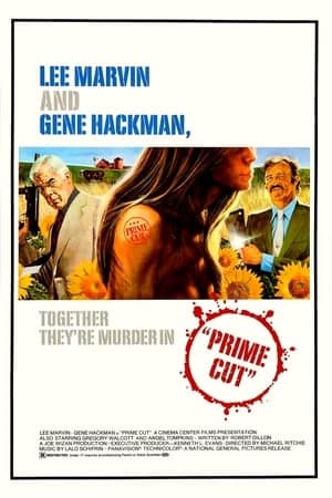 Poster phim Kế Hoạch Giải Cứu