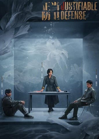 Poster phim Phòng Vệ Chính Đáng