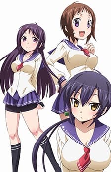 Poster phim Okusama Ga Seitokaichou!+!