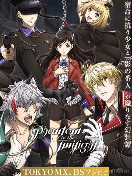 Poster phim Phantom In The Twilight