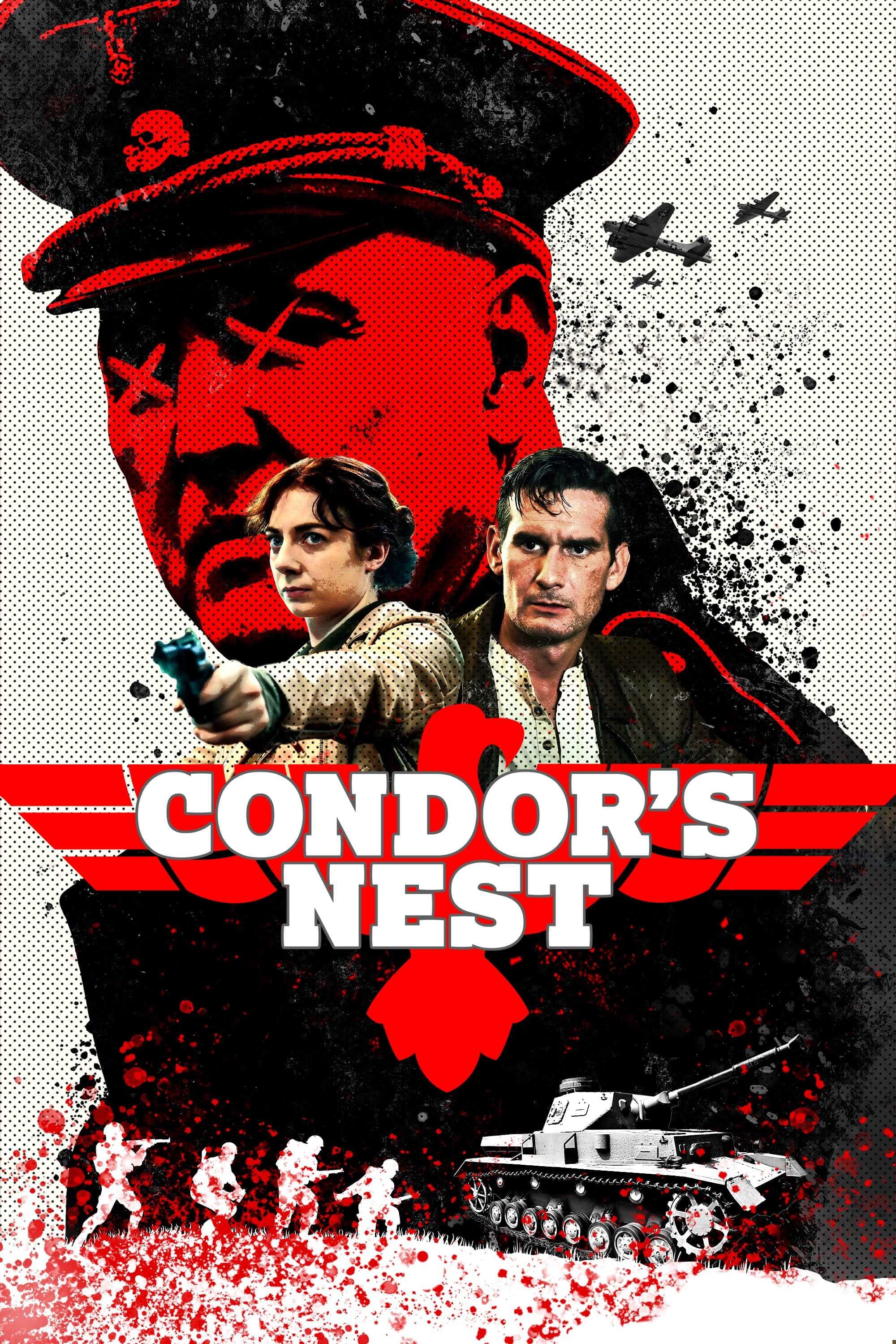 Poster phim Condor's Nest