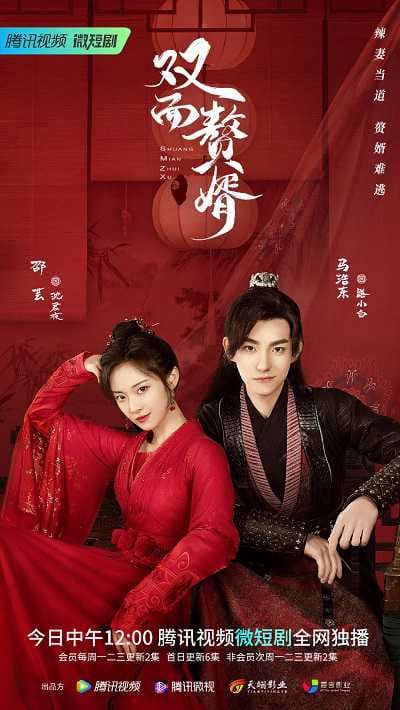 Poster phim Chàng Rể Hai Mặt