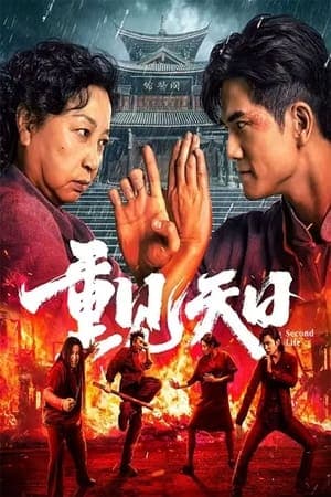 Poster phim Cuộc Đời Thứ Hai