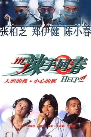 Poster phim Diệu Thủ Hồi Xuân