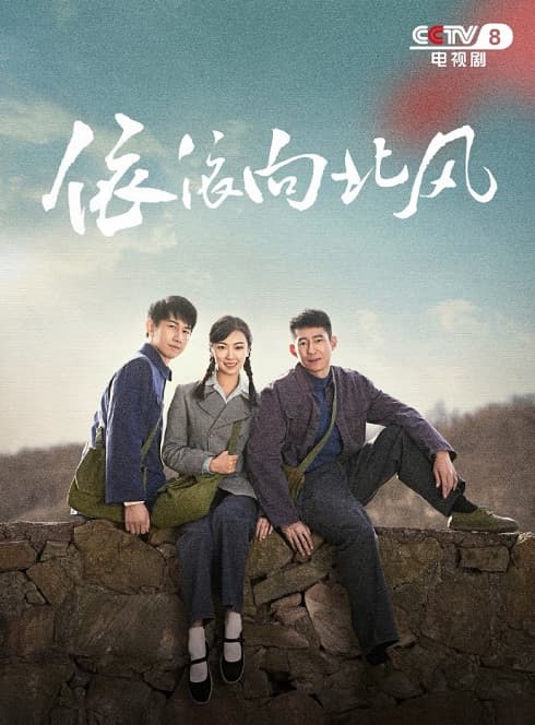 Poster phim Nỗi Nhớ Theo Gió Bắc