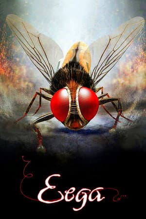 Poster phim Ruồi Báo Thù