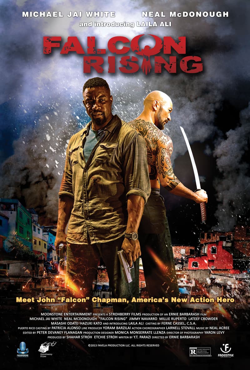 Poster phim Chim Ưng Trỗi Dậy