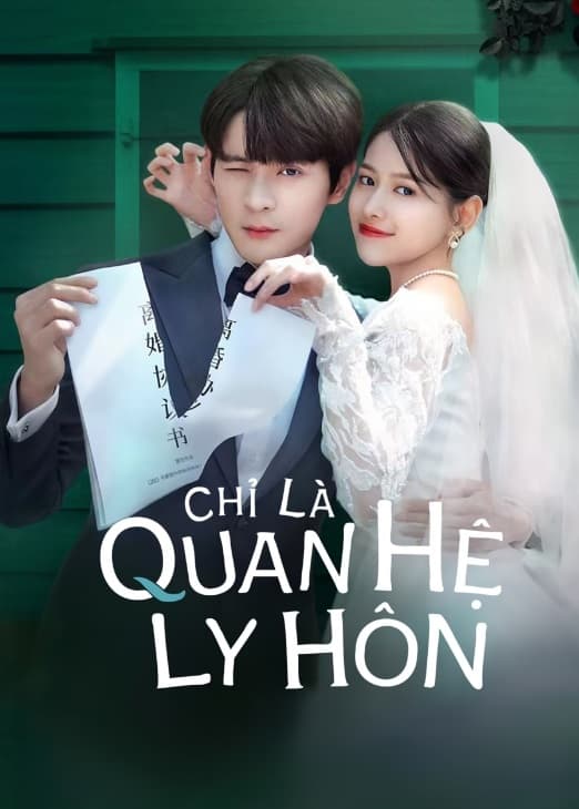 Poster phim Chỉ Là Quan Hệ Ly Hôn