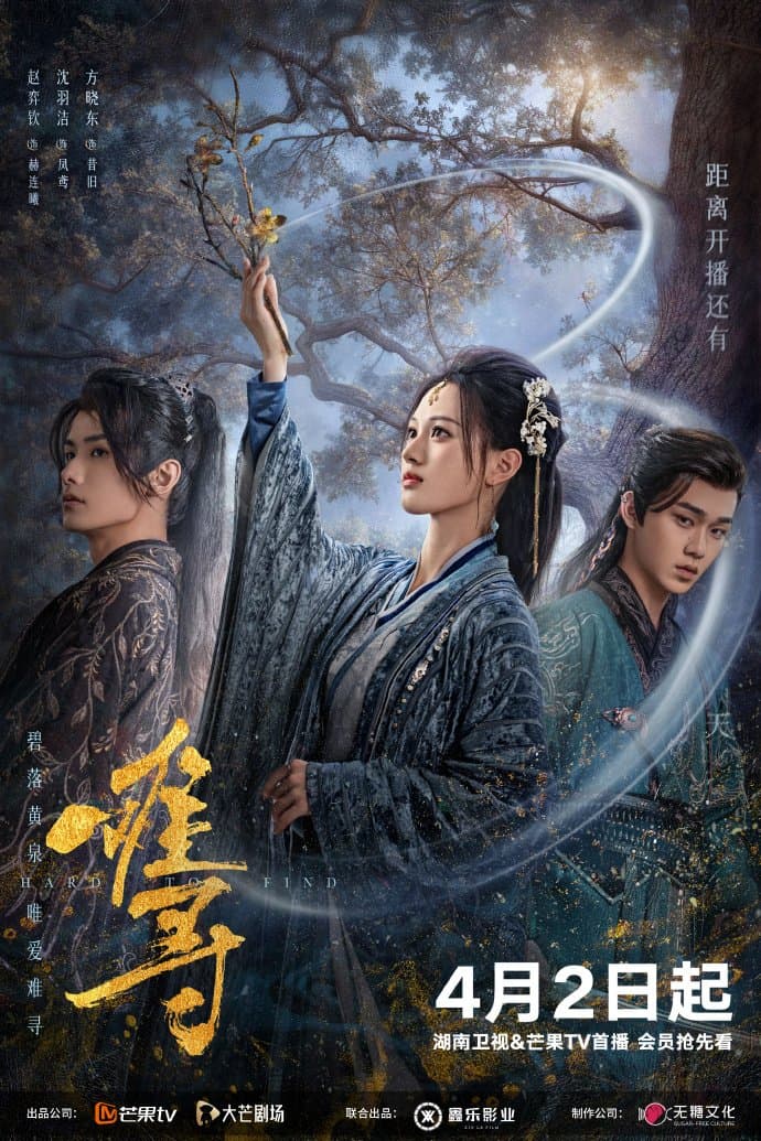 Poster phim Khó Tìm (Nan Tầm)
