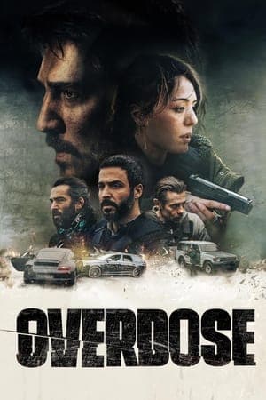 Poster phim Quá Liều
